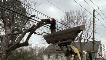 Memotong dahan pohon dekat kabel listrik dari alat berat. Kesalahan sedikit bisa memicu sengatan listrik atau jatuh dari ketinggian. Foto: Boredpanda