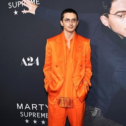 Heboh Timothee Chalamet Dihujat Gegara Ucapannya soal Balet