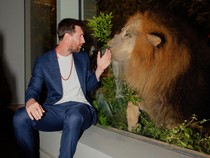 Video: Momen Messi ke Kebun Binatang di India Milik Keluarga Terkaya Se-Asia