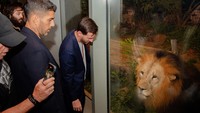 Lionel Messi melihat seekor singa di kandang di pusat penyelamatan dan rehabilitasi hewan Vantara di Jamnagar, Gujarat, India. Kunjungan ini menarik perhatian publik jelang akhir tur Messi di Negeri Bollywood. Vantara/Handout via REUTERS