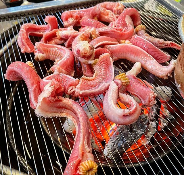 Ikan Hagfish Jadi Seafood Eksotik di Korsel Ikan Hagfish Jadi Seafood Eksotik di Korsel