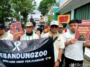 4 Bulan Ditutup, Karyawan Desak BBKSDA Jabar Buka Bandung Zoo