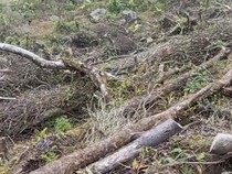 Viral Video Dukungan Wisata Gunung Salak, Warga Cidahu Geram