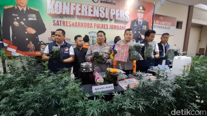 Barang Bukti Pertanian Ganja di Rumah Kontrakan Jombang Ditaksir Rp 6 M