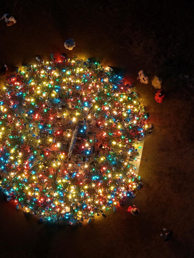 Pohon Natal dari 460 Perangkap Lobster Menyala di AS