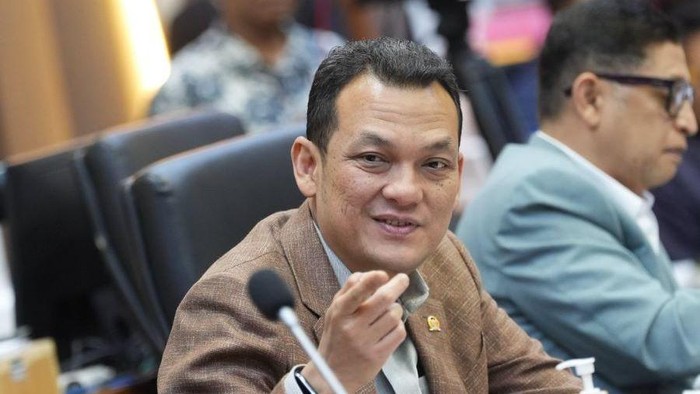 Wakil Ketua Badan Legislasi (Baleg) DPR RI Martin Manurung. (dok.istimewa)