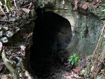 Hutan Adat Kampung Merasa di Berau yang Kaya Warisan Budaya