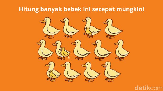 Asah Otak