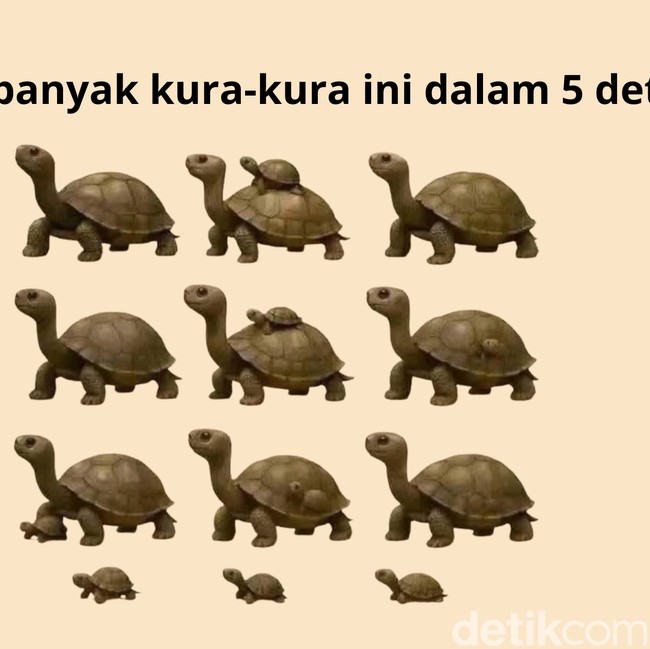 Coba Hitung Ada Berapa Hewan yang Sembunyi! Kalau Salah Bisa Jadi Harus Cek Mata