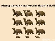 Coba Hitung Ada Berapa Hewan yang Sembunyi! Kalau Salah Bisa Jadi Harus Cek Mata