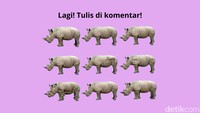 Terakhir, jangan lupa tulis di komentar ya, detikers! (Aida Adha Siregar/detikHealth)