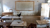 Seekor ayam bertengger di atas meja saat banjir di Madrasah Mathlaul Anwar Sukamaju, Padarincang, Kabupaten Serang, Banten. BPBD mengimbau warga untuk tetap waspada terhadap potensi banjir susulan, mengingat curah hujan masih berpeluang terjadi. ANTARA FOTO/Muhammad Bagus Khoirunas