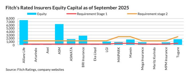 Insurers Equity Capital