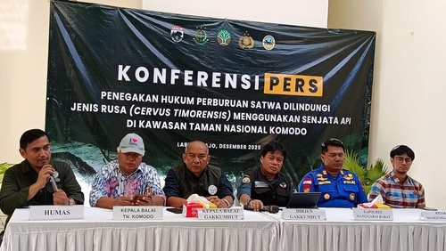 Konferensi pers pengungkapan kasus perburuan rusa di Labuan Bajo, Manggarat Barat, Jumat (19/12/2025). (Ambrosius Ardin/detikBali)
