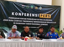 Detik-detik Baku Tembak Aparat Gabungan Vs Pemburu Rusa di Pulau Komodo