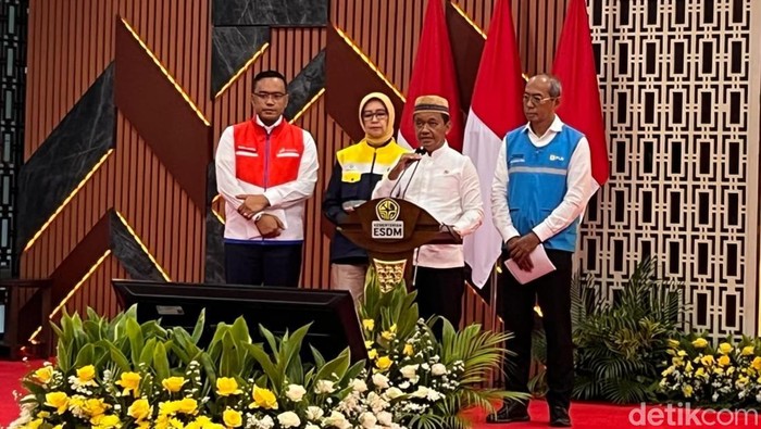 Produksi Nikel & Batu Bara Dipangkas Tahun Depan, Ini Alasannya