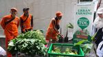 Panen Urban Farming Warga Dijual di Pasar Tumbuh Jaktim