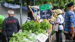 Panen Urban Farming Warga Dijual di Pasar Tumbuh Jaktim