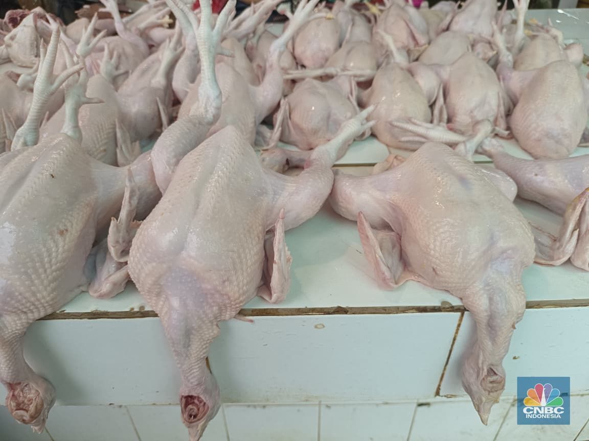 Pantauan harga pangan jelang Nataru di Pasar Rumput, Jakarta, Jumat (19/12/2025). (CNBC Indonesia/Martyasari Rizky)