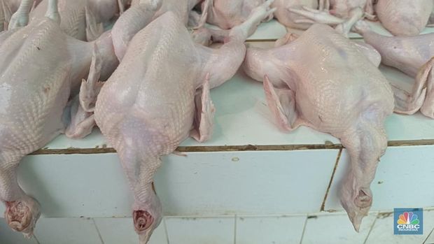 Pantauan harga pangan jelang Nataru di Pasar Rumput, Jakarta, Jumat (19/12/2025). (CNBC Indonesia/Martyasari Rizky)