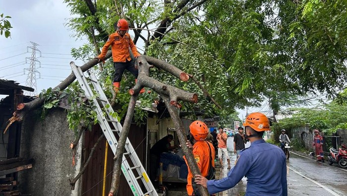 Hujan Disertai Angin Bikin Pohon Tumbang Timpa Warung di Bogor
