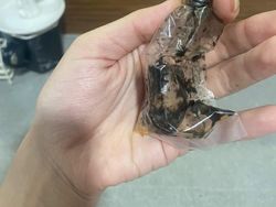 Ragam Sad Food Netizen, Beli Online yang Datang Nggak Sesuai Harapan