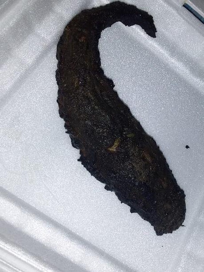 Ragam Sad Food Netizen, Beli Online yang Datang Nggak Sesuai Harapan