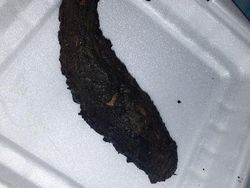 Ragam Sad Food Netizen, Beli Online yang Datang Nggak Sesuai Harapan