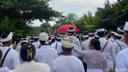 Warga Desa Adat Serangan, Denpasar, mengikuti upacara Memintar dengan berjalan sejauh 4,7 kilometer, Jumat (19/12/2025). (Foto: Fabiola Dianira/detikBali)