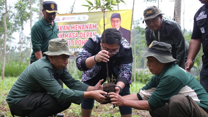 Anggota DPR Kawendra Bareng Perhutani Tanam 888 Bibit Pohon di Lumajang
