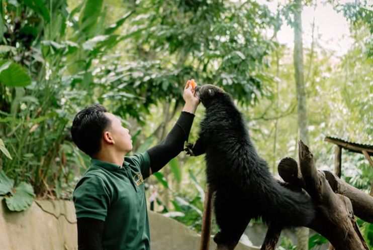 Animal care di Lombok Wildlife Park