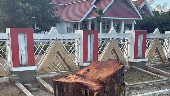 Anwar Hafid Marah Pohon Depan Rujab Gubernur Sulteng Ditebang