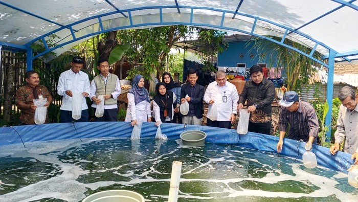 DT Peduli-Pelindo Tebar 100.000 Bibit Udang Windu di Lakkang Makassar
