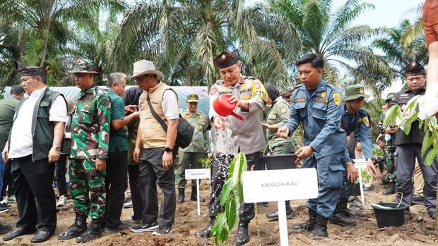 Menhut Raja Juli Antoni hingga Kapolda Riau Irjen Herry Heryawan menyaksikan pelepasan hak tanah masyarakat di Tesso Nilo. Kegiatan ini ditandai dengan penumbangan pohon sawit di lahan TNTN, Sabtu (20/12/2025).