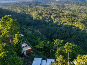 Ingin Liburan Nyaman? Cek 5 Tempat Wisata Ramah Anak di Lombok