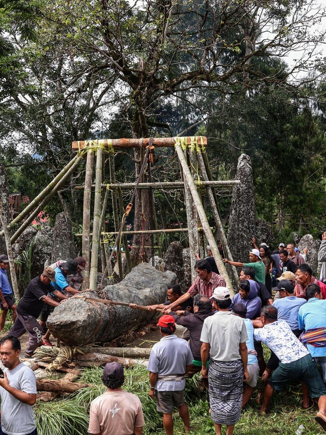 Ritual Rambu Solo Toraja Utara, Warga Gelar Prosesi Tarik Batu Simbol Keabadian