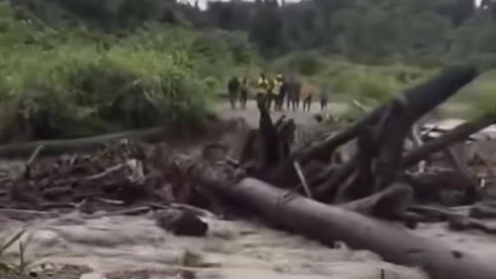 Viral Banjir Bawa Gelondongan Kayu di Keerom Papua Bikin Jembatan Terputus