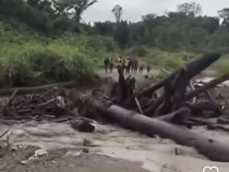 Viral Banjir Bawa Gelondongan Kayu di Keerom Papua Bikin Jembatan Terputus