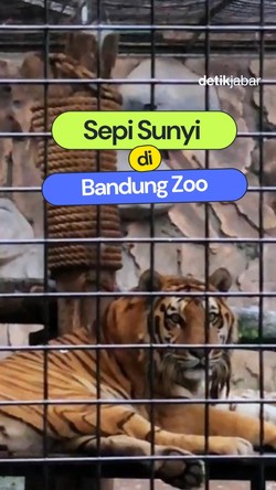 Video: Sepi Sunyi di Bandung Zoo
