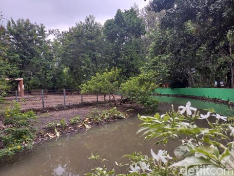 Suasana Wisata Susur Perahu di Kebun Binatang Surabaya