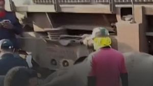 Video: 7 Gajah Tak Bersalah Mati Ditabrak Kereta