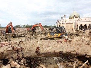 1.135 Orang Tewas Akibat Bencana Sumatera, 489 Ribu Warga Masih Ngungsi