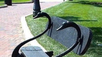 Bangku dengan desain berbentuk angsa. Foto: via StreetArtUtopia