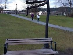 Deretan Desain Bangku Taman Kreatif yang Nyeni