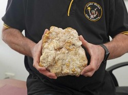 Bongkahan Emas Raksasa Ditemukan di Australia, Begini Cara Mendapatkannya