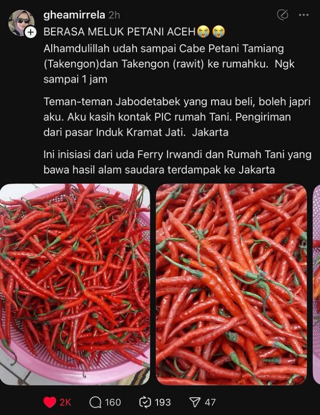 Cabe Takengon asal Aceh Tengah