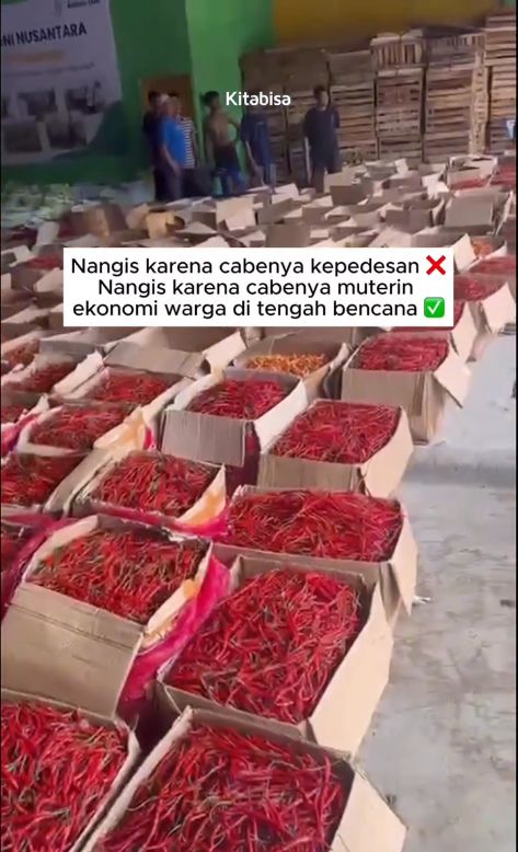 Cabe Takengon asal Aceh Tengah