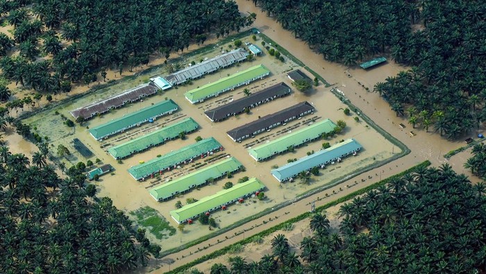 Foto udara tempat tinggal karyawan perusahaan dan kawasan perkebunan sawit yang masih terendam banjir di Kinali, Pasaman Barat, Sumatera Barat, Minggu (21/12/2025). Memasuki pekan ketiga pasca banjir bandang Sumatera Barat, kawasan perkebunan di kabupaten itu masih terendam banjir dan aktivitas sementara dihentikan. ANTARA FOTO/Iggoy el Fitra/bar