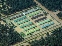 5 Bencana Paling Sering Terjadi di Indonesia Tahun 2025, Banjir Mendominasi