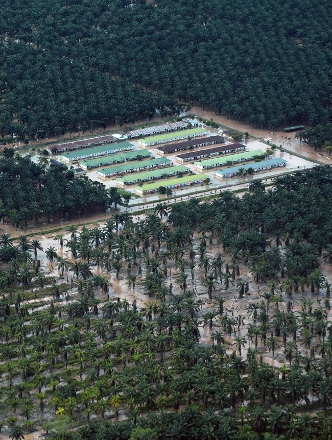 Foto Udara Perkebunan Sawit Pasaman Barat Masih Dikepung Banjir